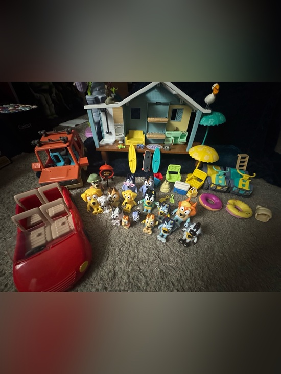 Bluey Other - Bluey Vacation House